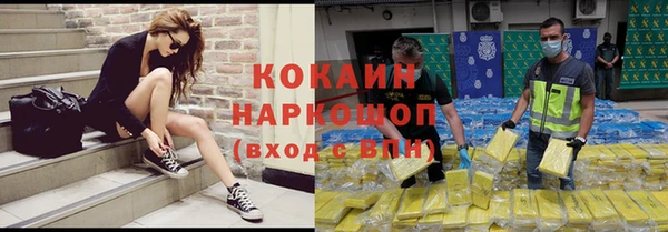 крисы Вязники